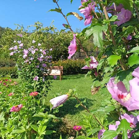 Apartamentos Calm & Nature - Adults Only Cabezon de Liebana Luaran gambar