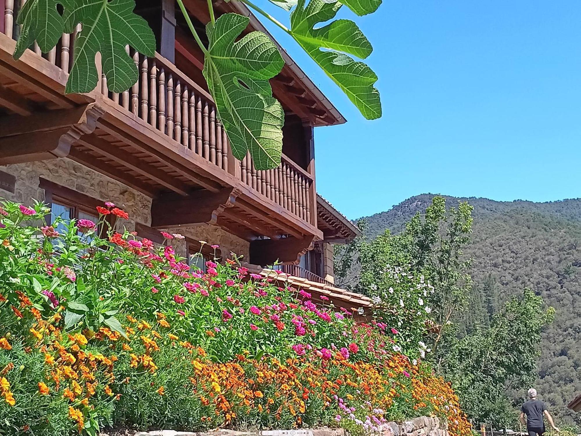 Apartamentos Calm & Nature - Adults Only Cabezon de Liebana Luaran gambar