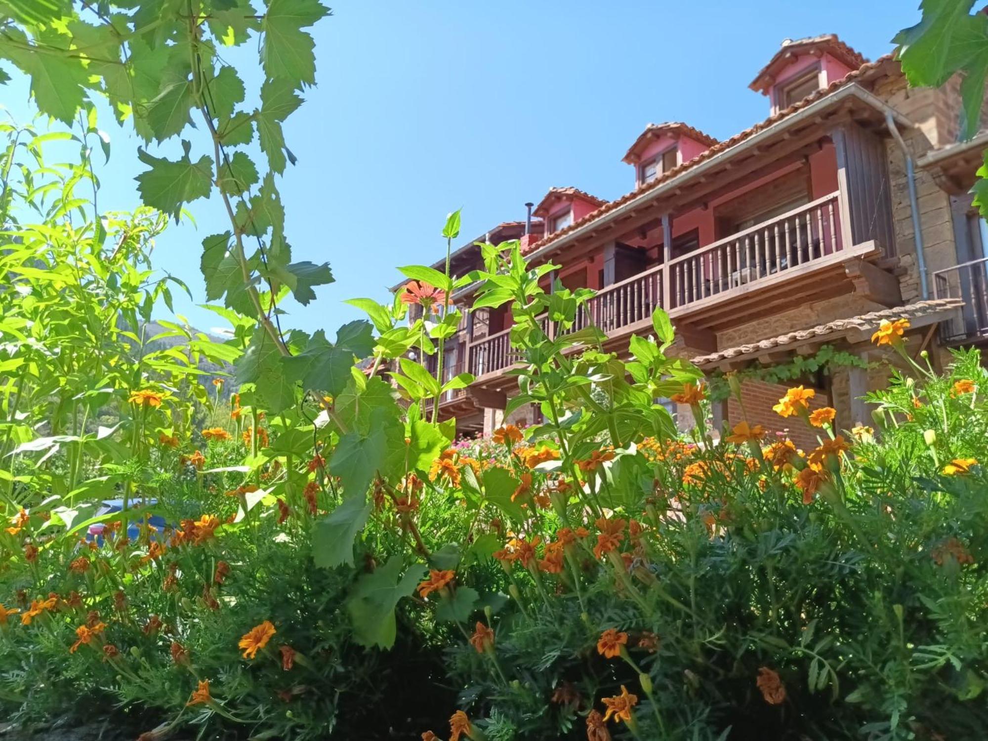 Apartamentos Calm & Nature - Adults Only Cabezon de Liebana Luaran gambar