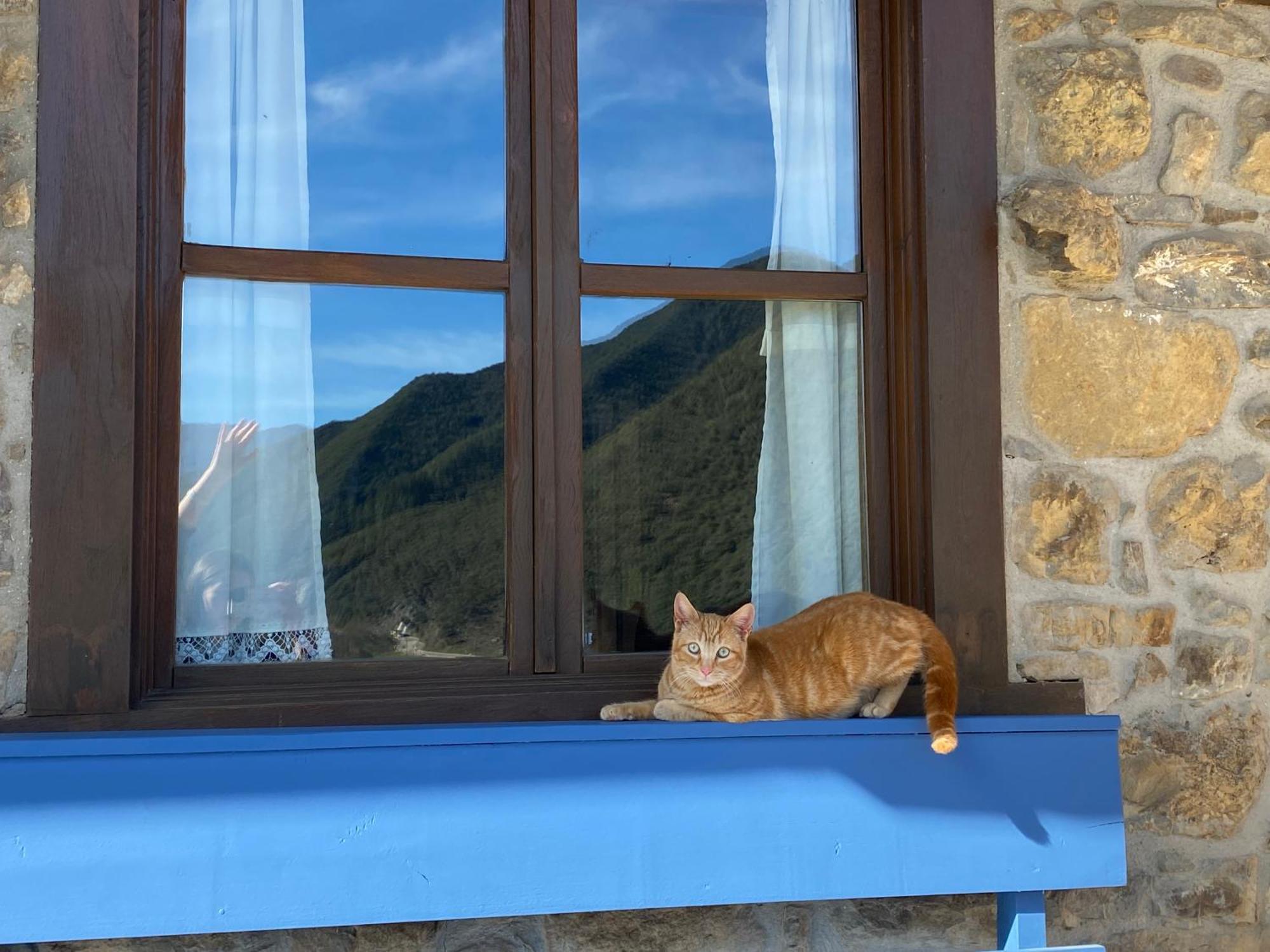 Apartamentos Calm & Nature - Adults Only Cabezon de Liebana Luaran gambar