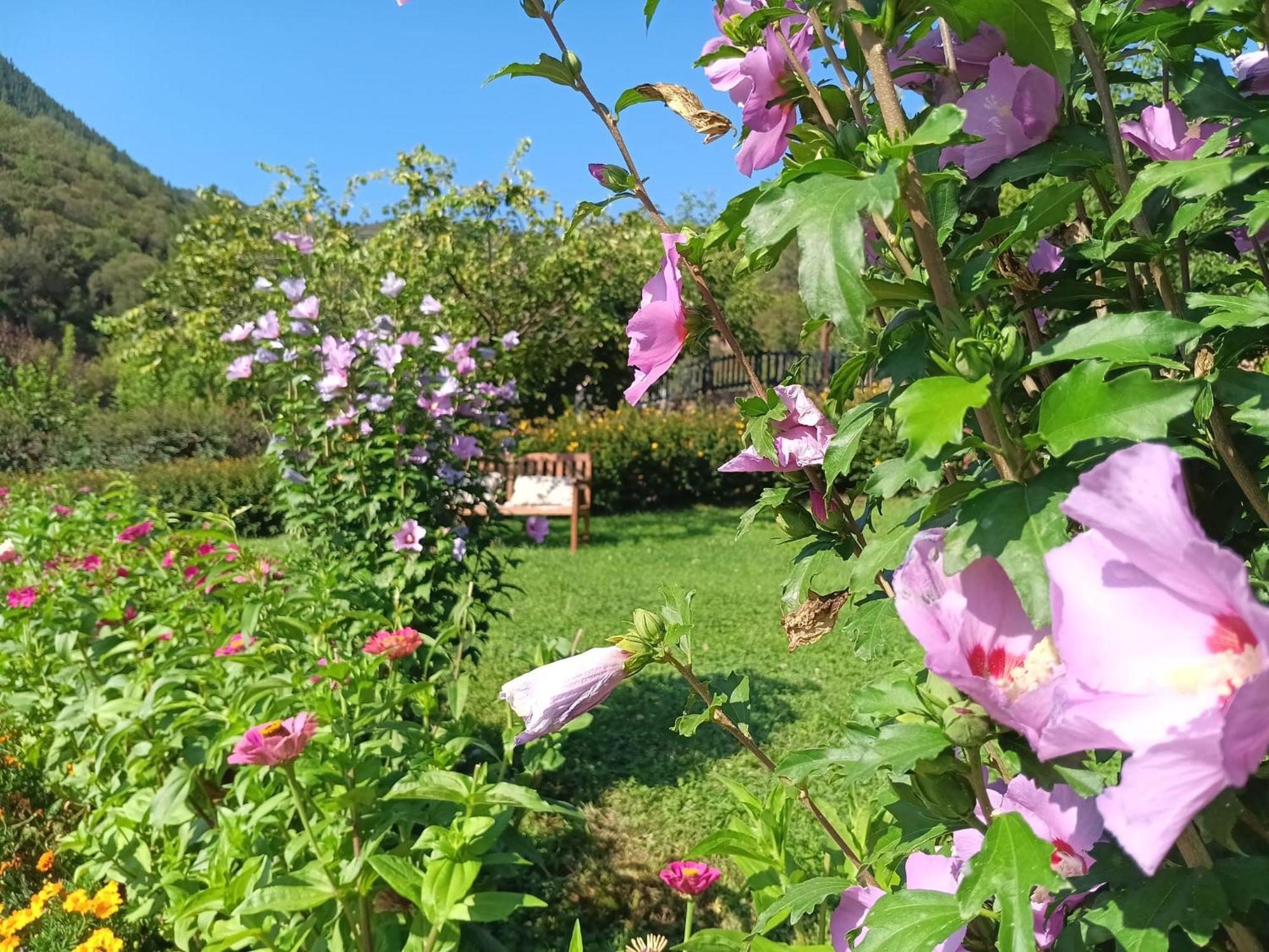 Apartamentos Calm & Nature - Adults Only Cabezon de Liebana Luaran gambar