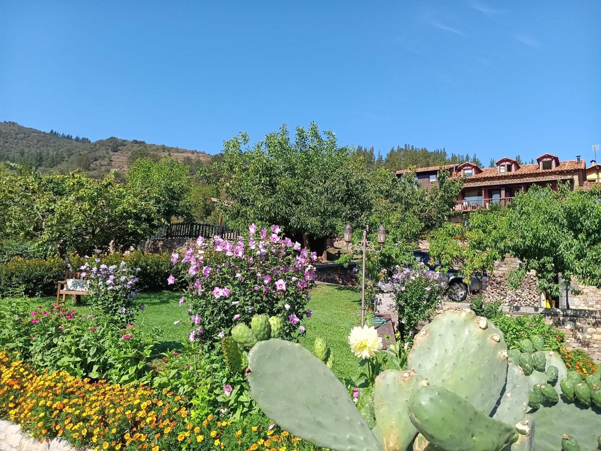 Apartamentos Calm & Nature - Adults Only Cabezon de Liebana Luaran gambar