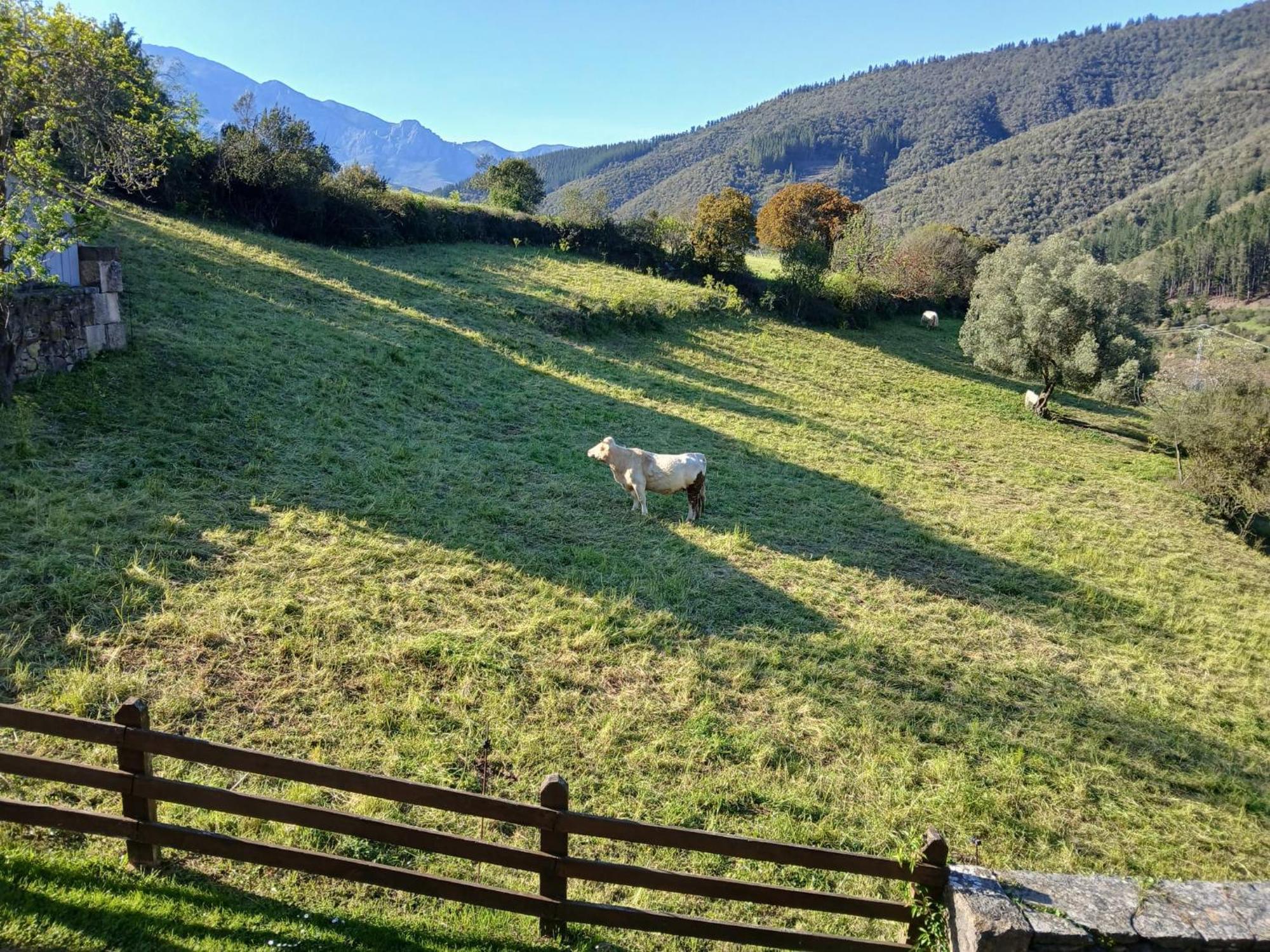 Apartamentos Calm & Nature - Adults Only Cabezon de Liebana Luaran gambar
